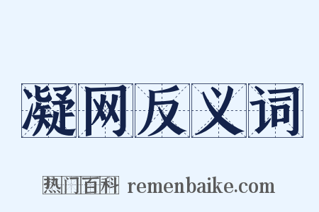 凝网反义词是什么意思的图片